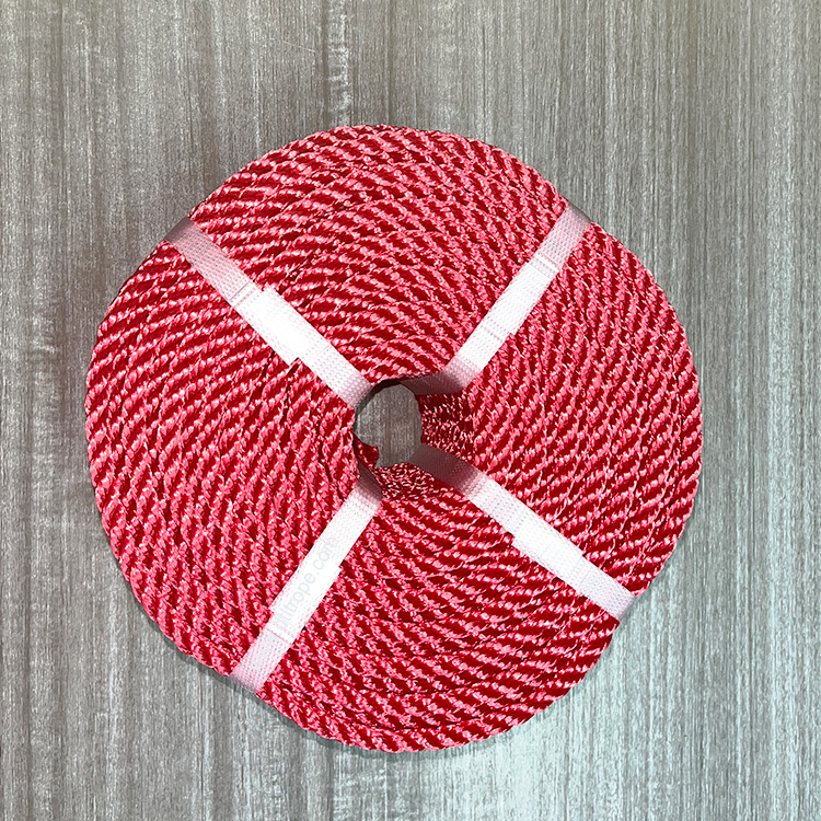 China Hot Sells 3/4 Strands Good Quality PE Polyethylene Ropes 6MM 16MM PE Plastic Packaging Rope 2