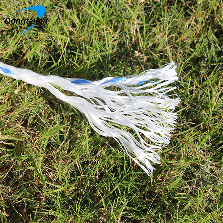 Twisted Packaging Pp Ropes 8mm 4Strand Rope For Fishing Floating Customizable Size And Color Polypropylene Rope 3