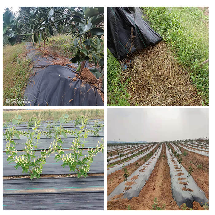 film for tomato weed barrier non woven fabric roll