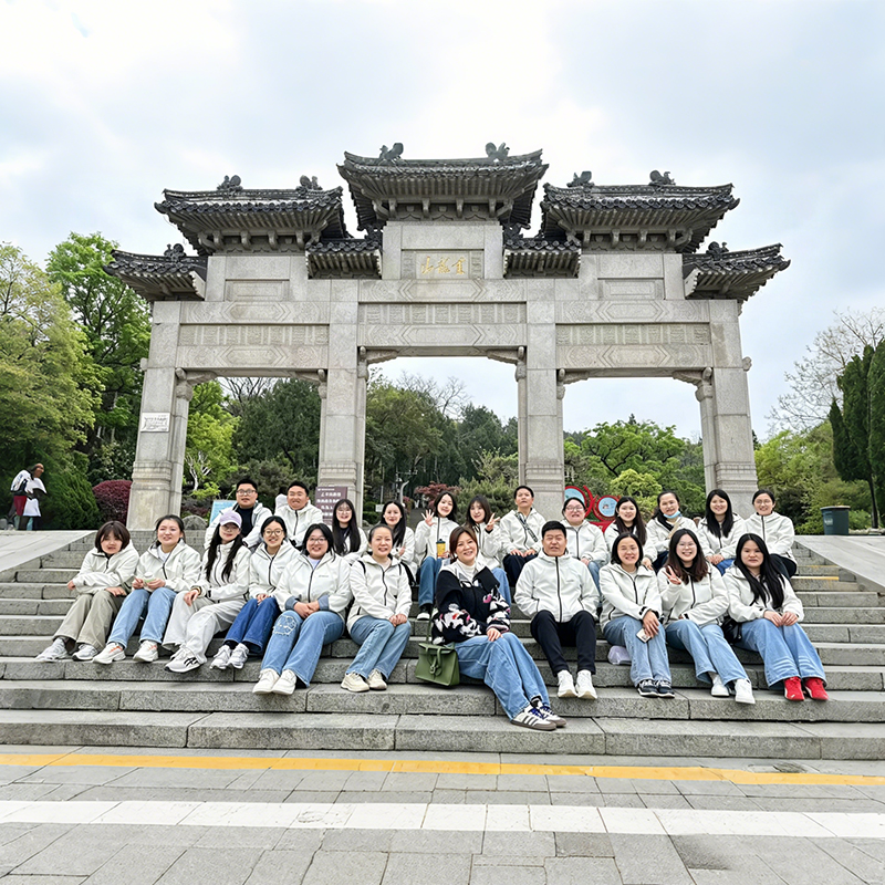 our team  of dongtalent