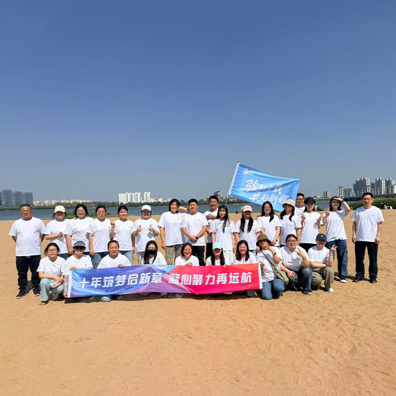 our team of dongtalent
